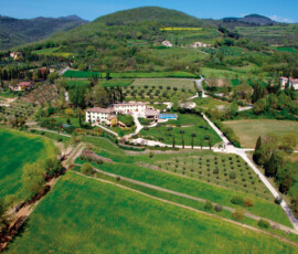 mibon Villa Lodola (オーガニックカラー)