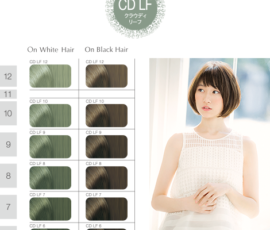 hoyu プロステップ